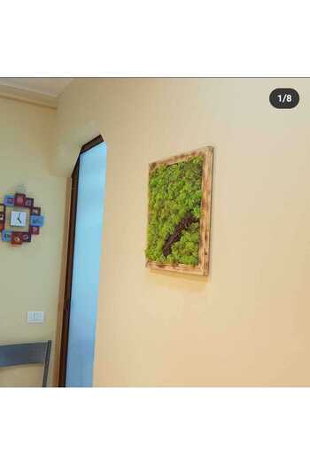 Narium Moss Frame 30×30 cm