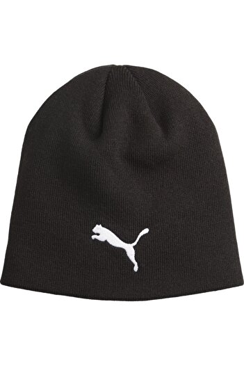 Puma Individual WINTERIZED Hat