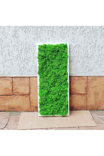 Narium Tablou cu licheni 70x30 cm