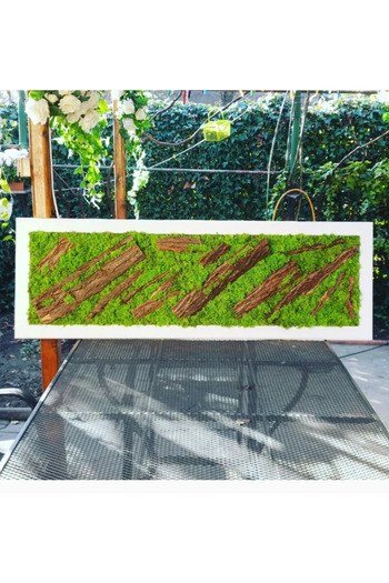 Narium Tablou cu licheni 100×30 cm