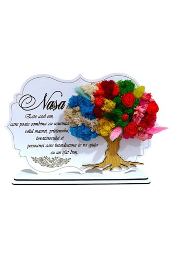 OEM Lichen decoration, personalized with standard message for NASA, White, 30x20cm,