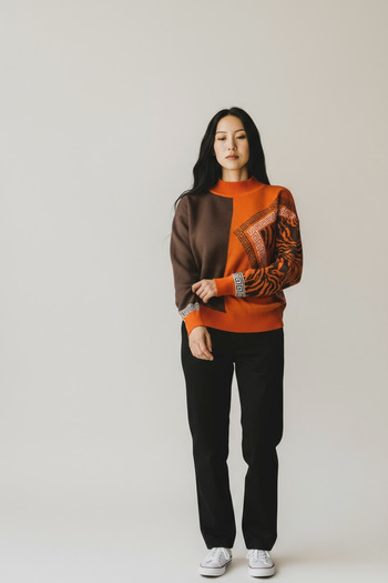 NEWCO Half-Throated Patterned Knitwear Sweater – Stylish Model with Geometric and Zebra Pattern Combination