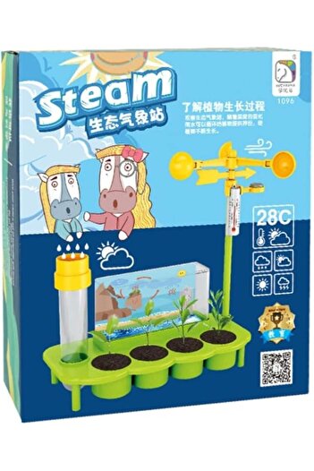 Generic STEAM Weather Station Toy for Kids, Learn Climate, Weather Changes, Greenhouse Effect, and Plant Gro