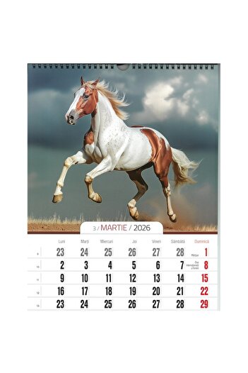 Global Horse Calendar 2026, A3 format, 8 sheets - O-Press