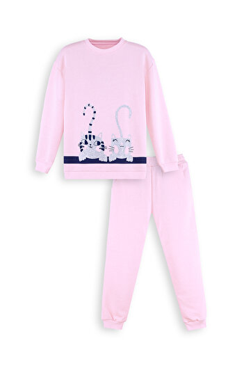 Denokids Çizgili Dostlar Kız Çocuk Pembe Eşofman Takım
