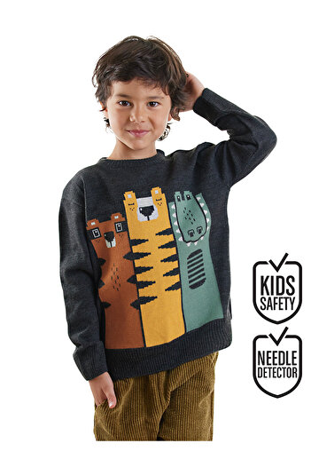 Denokids Animals Boy's Knitwear Sweater