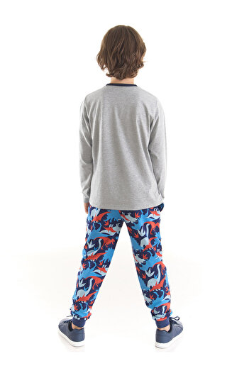 MSHB&G T-rex Info Boy's T-shirt Trousers Set