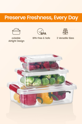ORGANİZERS 3pcs Stackable Lockable Plastic Food Containers – Gray | BPA Free