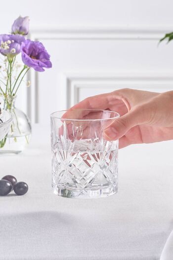 RCR Crystal Water Glass