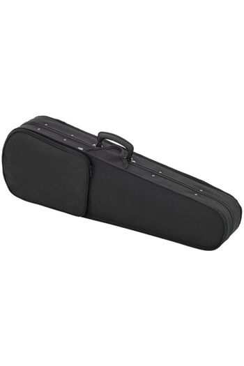 Nobrand Violin Case 3/4 Roth & Junius RJVC Etude