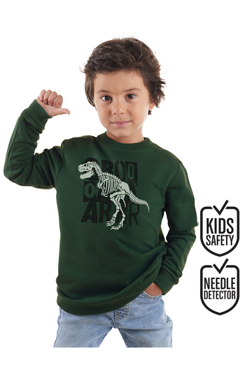 Denokids Khakifarbenes Roarr Dino-Sweatshirt für Jungen