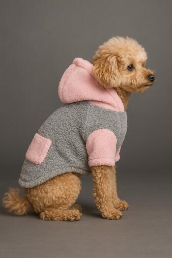 Buddy Store Contrast Plush Sweatshirt Hoodie - Hooded
