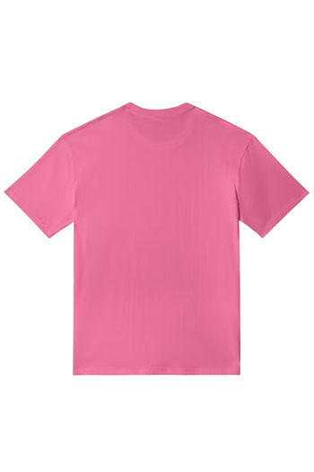 LAVİTTA Men's'Paris' Lettering Striped T-Shirt