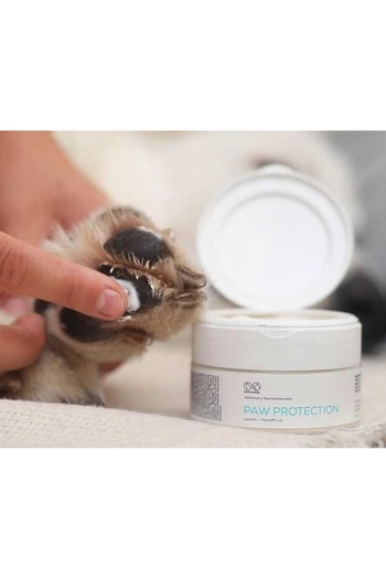 Other Paw Protection protective ointment for dogs and cats 75 ml