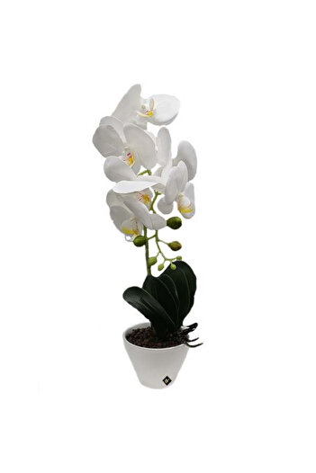 velve Orhidee alba cu aspect in ghiveci ceramic alb, 45 cm, Alb