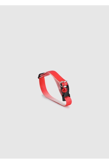 Provoq Red T1061 Ombre Red Thintasma Cat