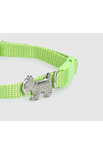 Provoq Green T1055 Green Thin Leash Cat