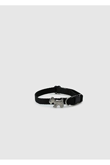 Provoq Black T1054 Black Thin Tasma Cat