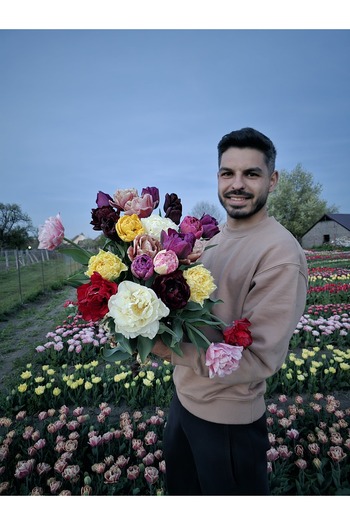 Bulbi și Plante TULIP MIX - 100 BULBS