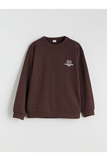LC Waikiki Crew Neck Boy Sweatshirt