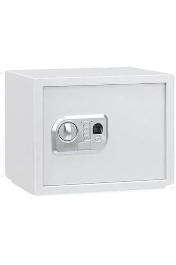Generic Safe Box Biometric Fingerprint, Digital Keypad and Key Lock, A4 Document Size Safety Locker for Home