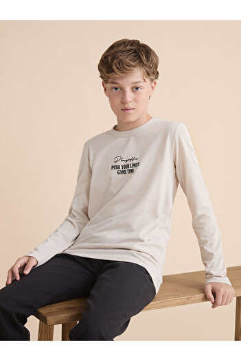 LC Waikiki Crew Neck Boy's T-Shirt