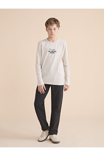 LC Waikiki Crew Neck Boy's T-Shirt
