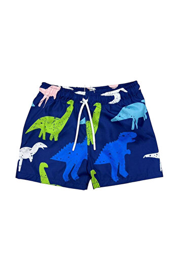 LC Waikiki Boy's Water Repellent Parachute Fabric Character Printed Waist Lace Shorts Swimwear Mesh
