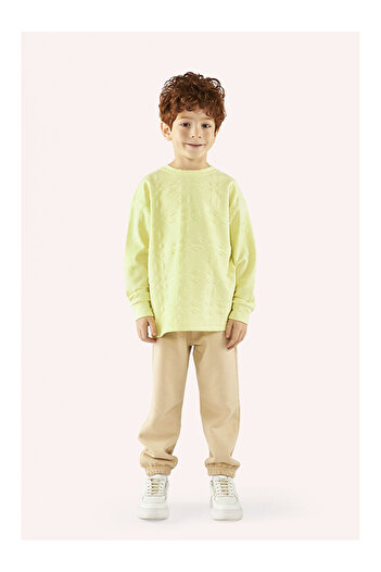 LC Waikiki Boy's Sweatshirt