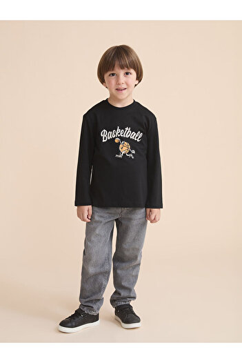 LC Waikiki Crew Neck Boy's T-Shirt