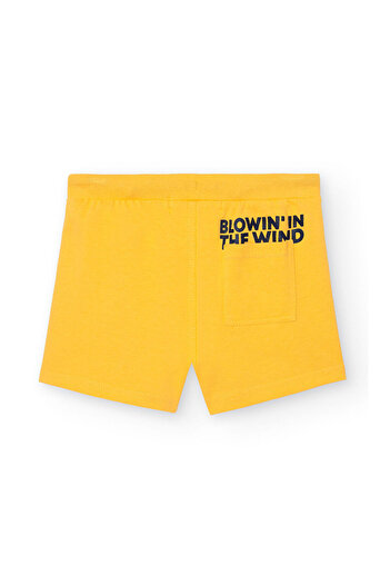 LC Waikiki Boys shorts