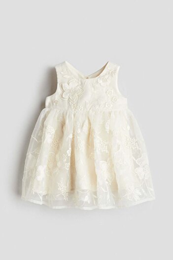 H&M Embroidered organza dress