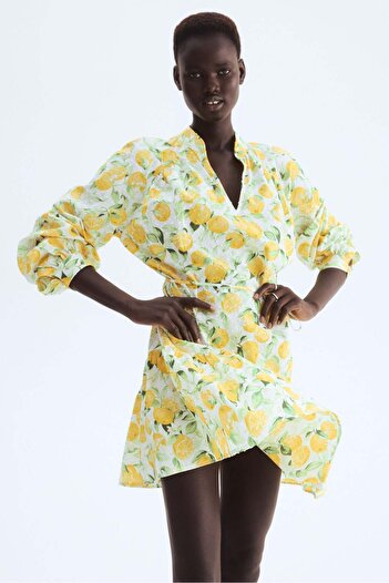 H&M Plumeti dress
