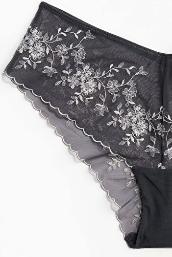 H&M Embroidered mesh hipster briefs