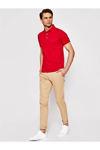 Tommy Hilfiger Plus Tommy hilfiger organic cotton polo t-shirt