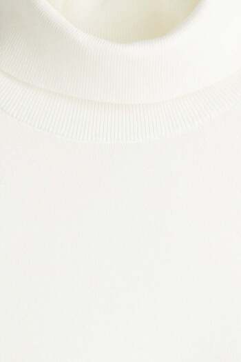 H&M Regular Fit Polo-neck jumper