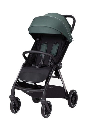 Other Carrello Delta Jungle Green stroller