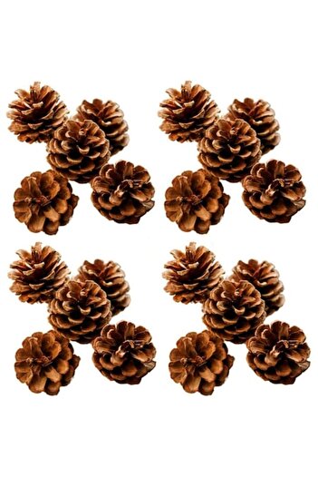 OEM Set 48 pine cones, wood, 3-4 cm, brown