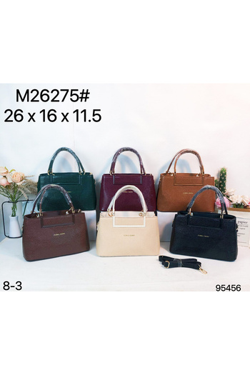 CN Elegant women's handbag model