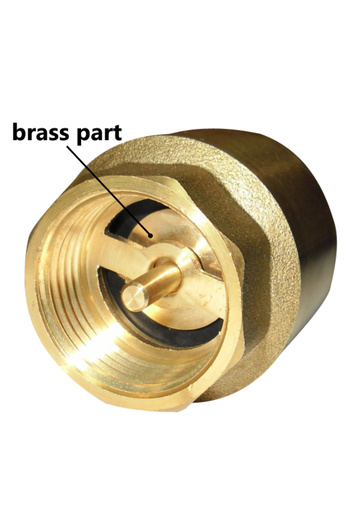 Other Brass check valve 6/4""