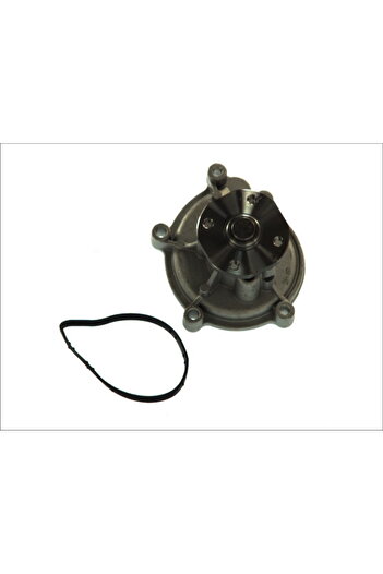 Thermotec Water pump, replacement filter set, Mercedes A-CLASS (W169)