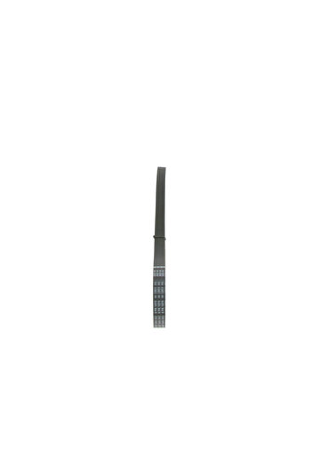 Bosch V-ribbed belt AUDI A3 Convertible (8P7) 2008-2013