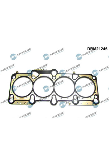 DR.MOTOR AUTOMOTIVE Cylinder head gasket SEAT ALTEA XL (5P5 5P8) 2006-2009