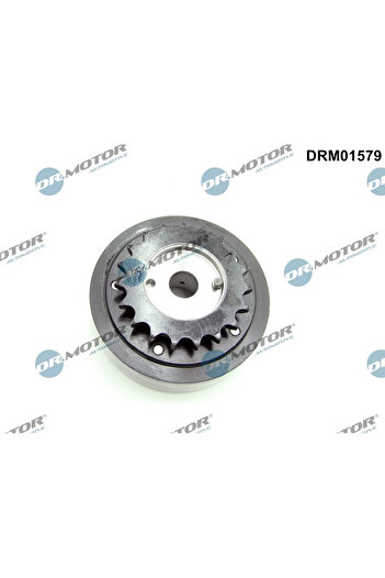 DR.MOTOR AUTOMOTIVE Camshaft adjuster Exhaust side AUDI A4 B7 Avant (8ED) 2004-2008