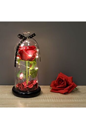 Jumbo Decorative Glass Dome with LED & Artificial Rose Ø11 x 24 cm