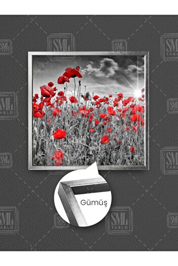 SML TABLO Câmp de flori de papaver alb-negru la apus de soare, peisaj natural, pictură pătrată pe pânză înrămată