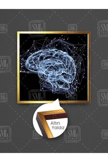 SML TABLO Structura creierului Rețea nervoasă Neurone Neurologie Decor pentru sala de examinare Pictură pe pânză pătrată înrămată
