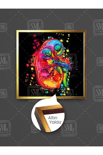 SML TABLO Ilustrație colorată a rinichiilor Decorare pentru urologie Pictură pe pânză pătrată înrămată