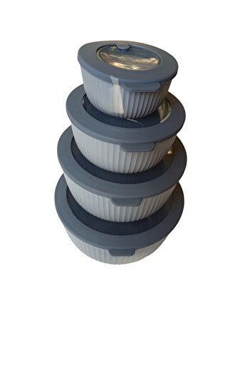 HOBBY LİFE Set of 4 Luxury Storage Containers with Leak-Proof Lids (Elegance Series) - 8.6 L