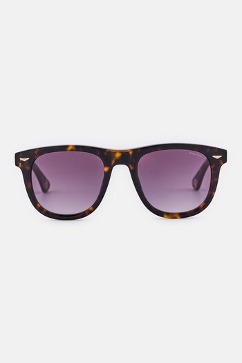 Police Men SPLL87V Square Sunglasses, Havana Brown